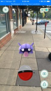 Shellder on Green St.